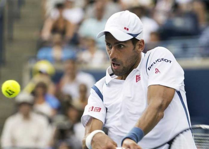 novak2
