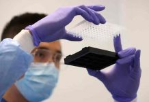 Identifican cuatro nuevos coronavirus parientes del SARS-CoV-2 en China china, salud, coronavirus,