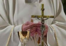 polonia, obispos, abusos sexuales, vaticano,