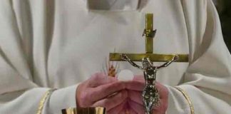 polonia, obispos, abusos sexuales, vaticano,