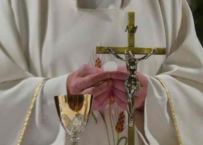 polonia, obispos, abusos sexuales, vaticano,