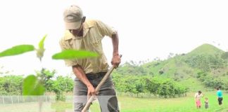 Nicaragua, Ocotal, ciclo agrícola 2021, productores,