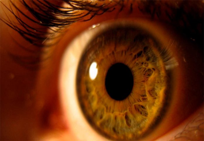 ojo-2