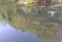 Investigan muerte de peces en río El Ojoche, León
