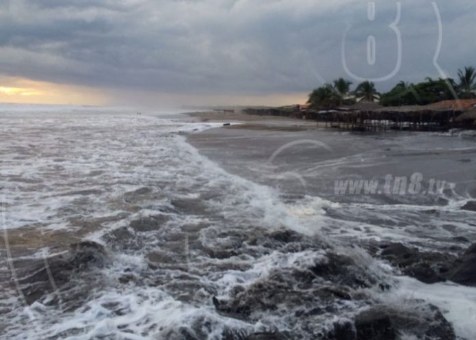 olas2