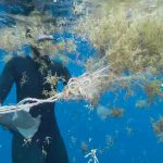 onu, oceanos, medio ambiente, contaminacion,