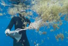 ONU acogerá debate sobre preservación de los océanos onu, oceanos, medio ambiente, contaminacion,