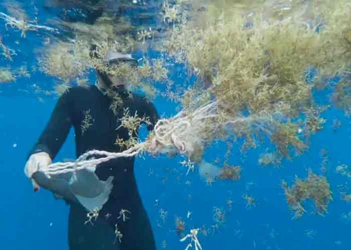 onu, oceanos, medio ambiente, contaminacion,