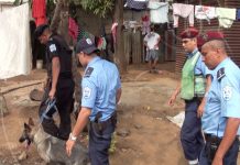 Operativo policial deja 5 muertos en Río de Janeiro