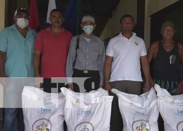 nicaragua, rivas, bono, semilla, productores,