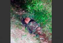 Costa Rica: Hombre muere al ser brutalmente arrollado