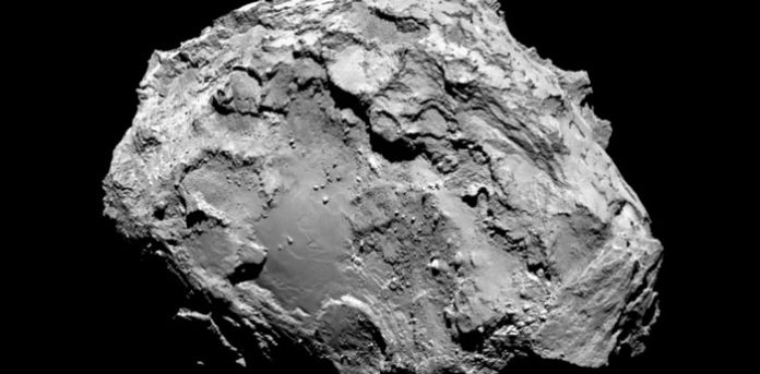 oxigrosetta
