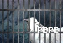 Pepe El Chivo sigue «detenido» en policía de Estelí