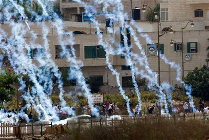 palestins