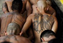 Autoridades detienen a 241 peligrosos pandilleros en El Salvador
