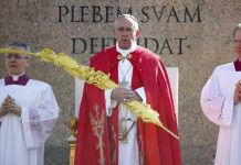 Papa denuncia crueldad abominable en Bruselas