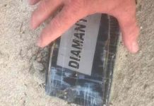 Recolector de basura halla un paquete de cocaína en una playa de Florida estados unidos, paquete, droga, narcotrafico,