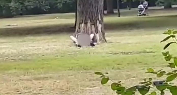 pareja-en-el-parque