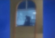 Jugaba Pokémon Go cuando se encontró a una pareja teniendo sexo