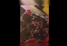 Pareja es captada masturbándose en una taquería de México