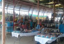 Familias disfrutan de la feria de economía familiar