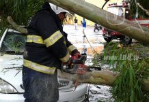Lluvia y fuertes vientos causan estragos en Parque central de Masaya