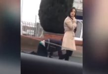 Mujer hace pasear a un hombre como si fuera perro