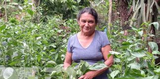 nicaragua, masaya,