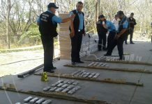 Decomisan gran cantidad de dólares en Peñas Blancas