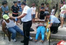 Perro provoca accidente en Carretera Vieja a León