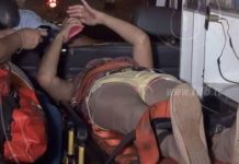 Managua: Chocan a perro callejero y terminan lesionados