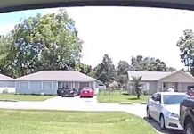 Una mujer dispara a un perro y la bala impacta a su hijo en Texas estados unidos, texas, perro,