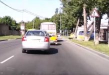 Brutal: Como película de terror perro provoca que conductor atropelle a peatón
