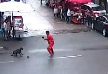 Perro feroz ataca a más de 20 personas en China