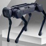 VIDEO: China lanza  una serie de perros robot ‘acompañantes’ China, tecnología, robots, perro, acompañante,