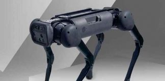 China, tecnología, robots, perro, acompañante,