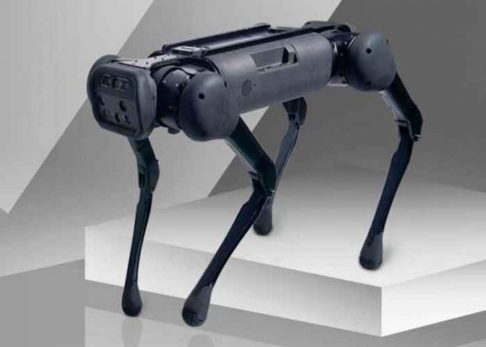 China, tecnología, robots, perro, acompañante,