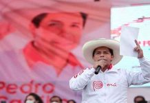 Con el 95.96% de las actas procesadas, Pedro Castillo lidera las elecciones en Perú Perú , elecciones presidenciales, pedro castillo, actas procesadas,