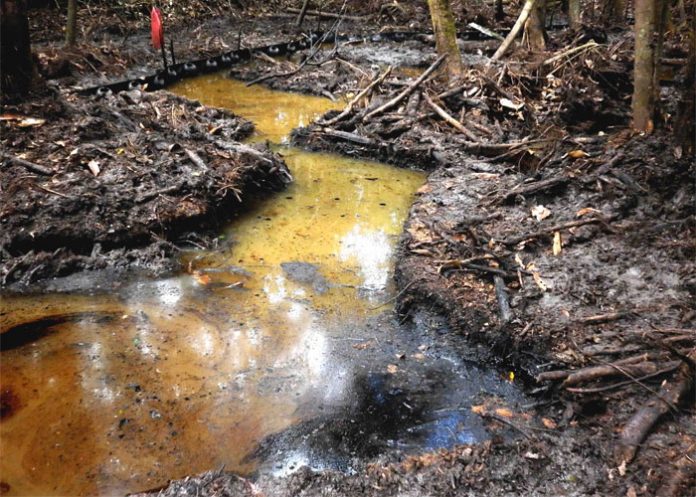 petroleo