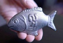 Curioso pez de hierro para combatir la anemia