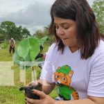 nicaragua, plantas, caribe, triangulo minero, reforestacion, rosita,