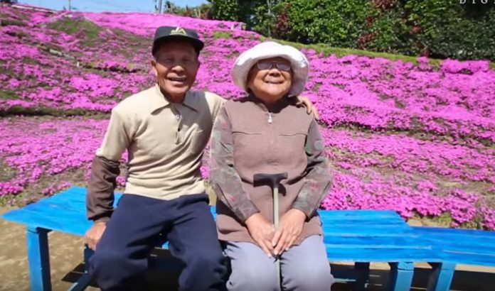 planto-flores-para-su-esposa