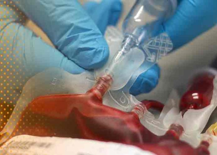 reino unido, niños, plasma contaminado, investigacion,