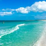 estados unidos, florida, comecarne, bacteria,