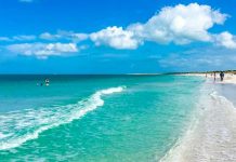 Mujer se infecta con la bacteria ‘comecarne’ tras nadar en playa de Florida estados unidos, florida, comecarne, bacteria,
