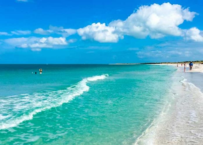 playa- estados unidos, florida, comecarne, bacteria,