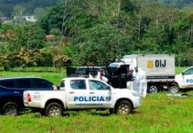 costa rica, asesinato, vendedor, aguacate, punaladas,