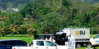 costa rica, asesinato, vendedor, aguacate, punaladas,