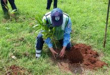 Policía ayuda a reforestar parque de Nueva Guinea