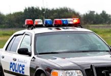 estados unidos, policia, nina, atropello,